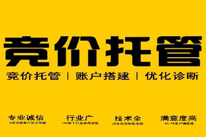 谷歌竞价广告在电商行业的运用案例